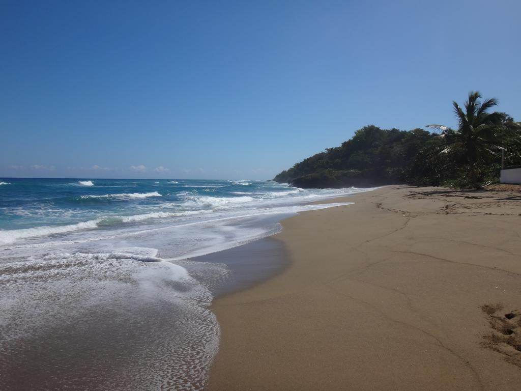 Bed and Breakfast Garden By The Sea Sosúa Esterno foto