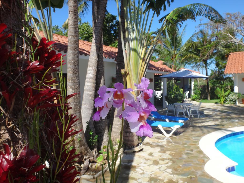 Bed and Breakfast Garden By The Sea Sosúa Esterno foto